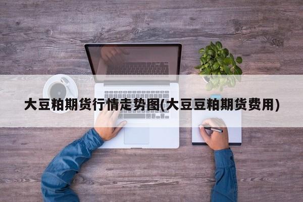 大豆粕期货行情走势图(大豆豆粕期货费用)